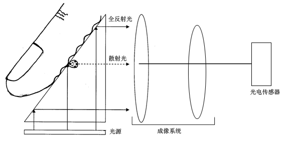 未标题-1.jpg